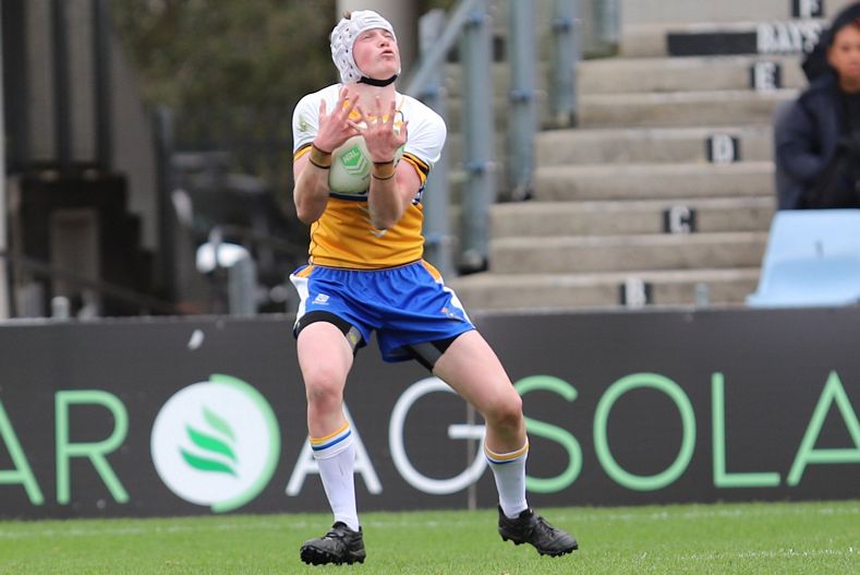 SBC ENDEAVOUR v PATRICIAN Bros