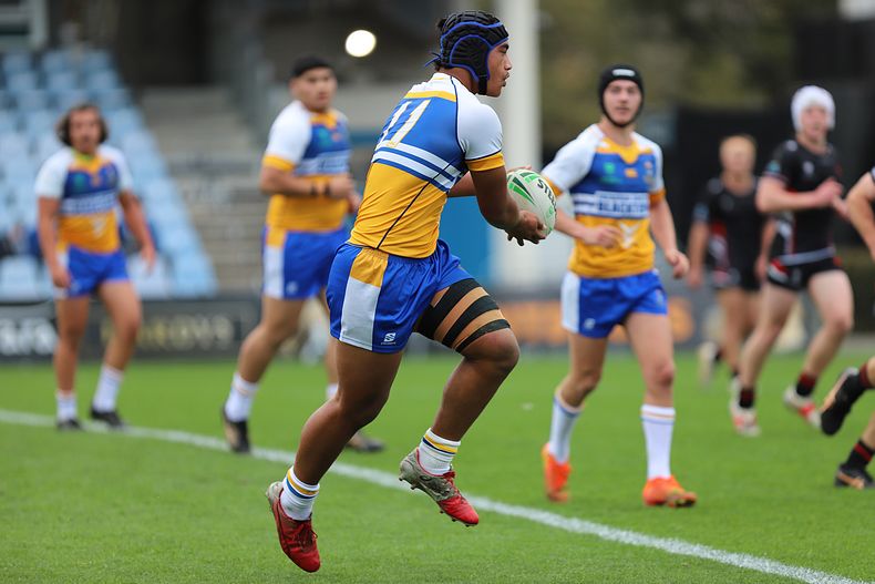 SBC ENDEAVOUR v PATRICIAN Bros