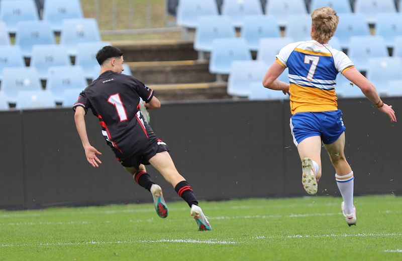 SBC ENDEAVOUR v PATRICIAN Bros