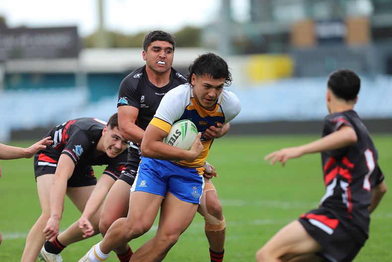SBC ENDEAVOUR v PATRICIAN Bros