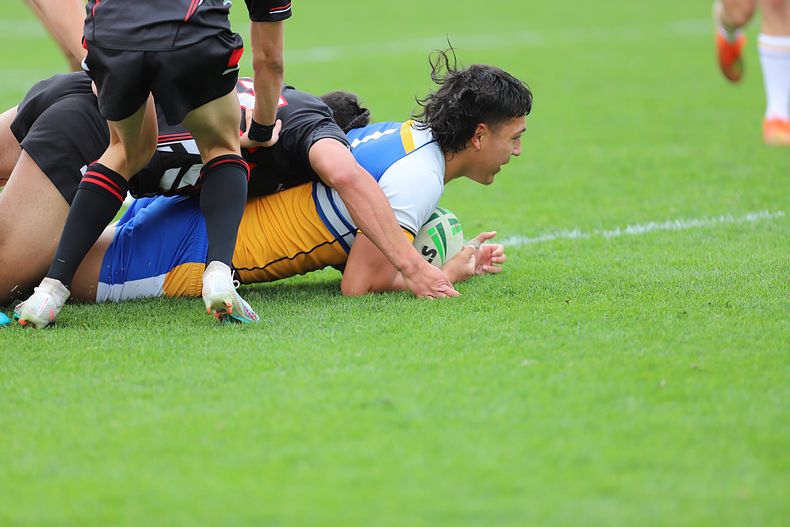 SBC ENDEAVOUR v PATRICIAN Bros