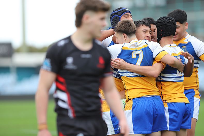 SBC ENDEAVOUR v PATRICIAN Bros