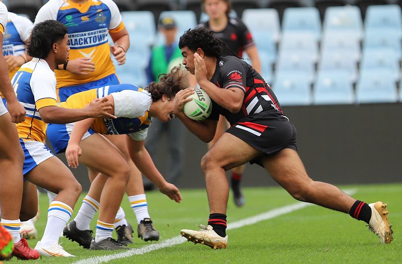 SBC ENDEAVOUR v PATRICIAN Bros