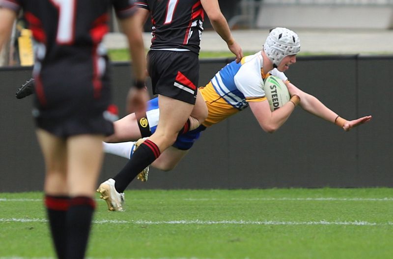 SBC ENDEAVOUR v PATRICIAN Bros