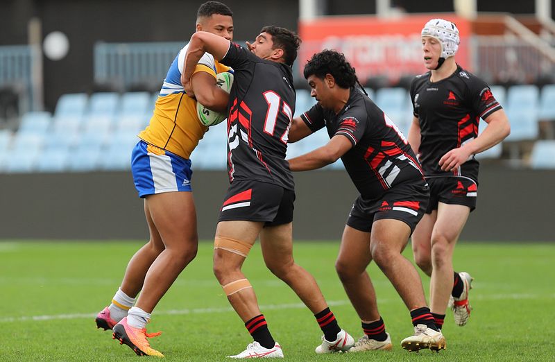 SBC ENDEAVOUR v PATRICIAN Bros