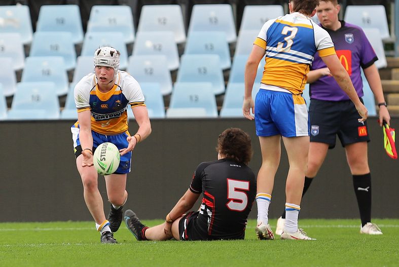 SBC ENDEAVOUR v PATRICIAN Bros