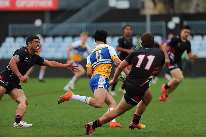 SBC ENDEAVOUR v PATRICIAN Bros