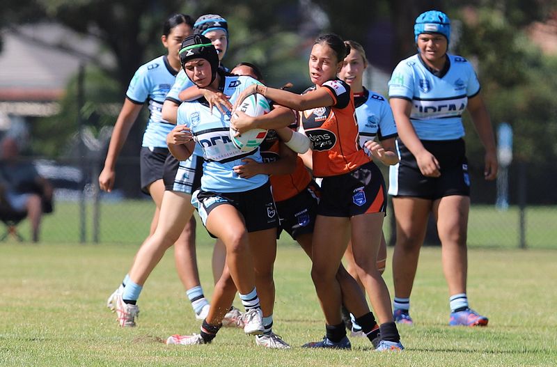 Trial LFC WESTSTIGERS vs SHARKS