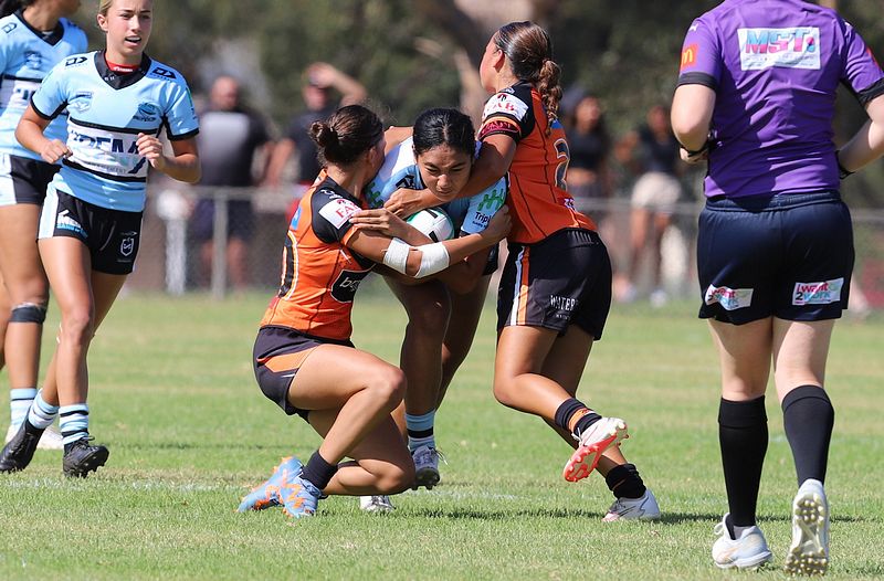 Trial LFC WESTSTIGERS vs SHARKS