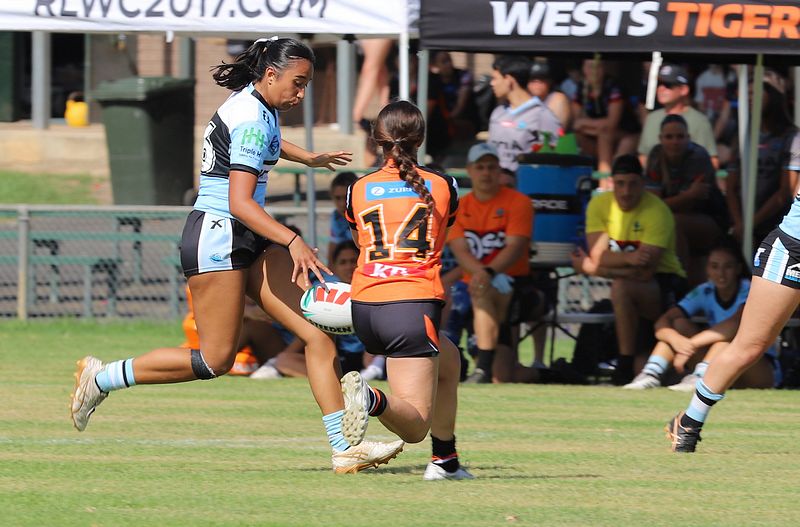 Trial LFC WESTSTIGERS vs SHARKS