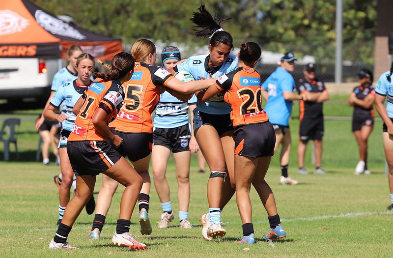 Trial LFC WESTSTIGERS vs SHARKS