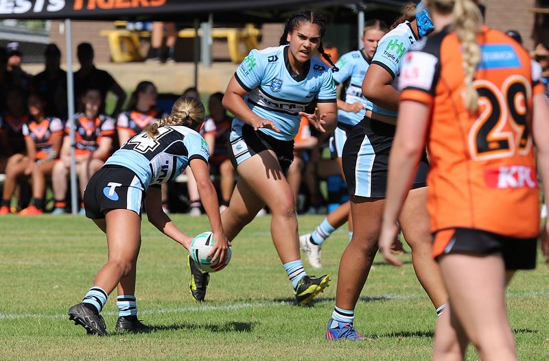 Trial LFC WESTSTIGERS vs SHARKS