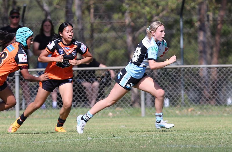 Trial LFC WESTSTIGERS vs SHARKS