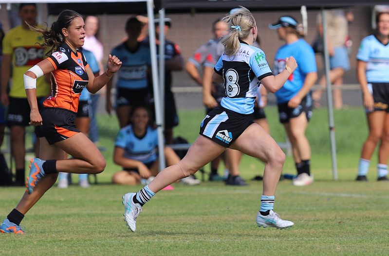 Trial LFC WESTSTIGERS vs SHARKS