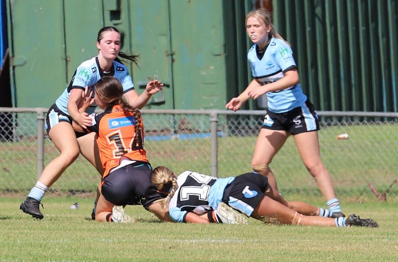 Trial LFC WESTSTIGERS vs SHARKS