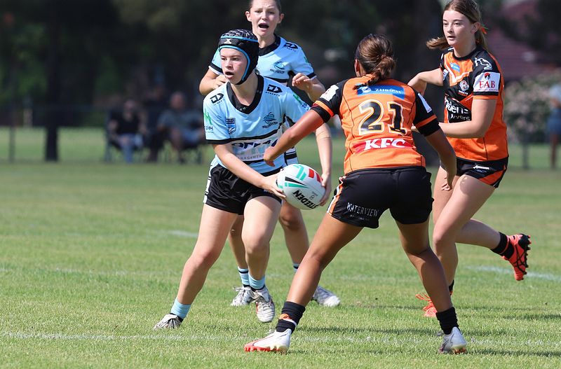 Trial LFC WESTSTIGERS vs SHARKS