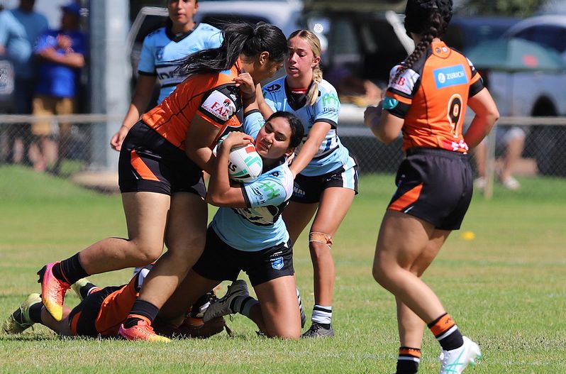 Trial LFC WESTSTIGERS vs SHARKS