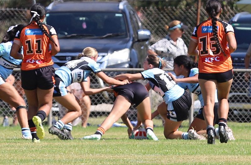 Trial LFC WESTSTIGERS vs SHARKS