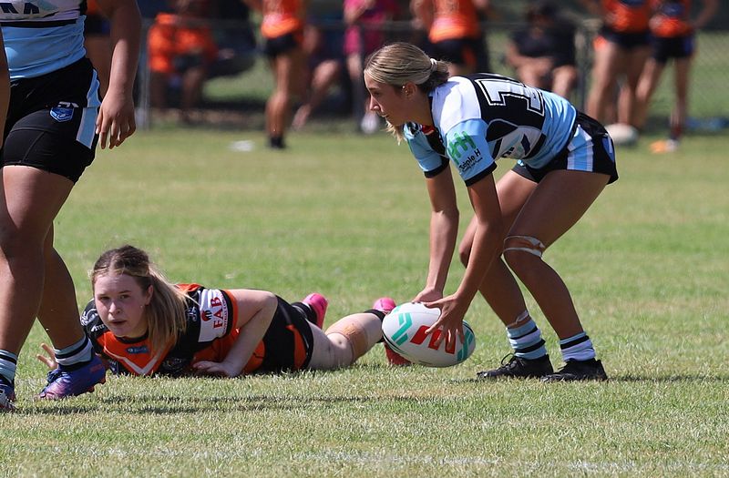 Trial LFC WESTSTIGERS vs SHARKS