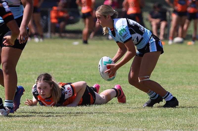 Trial LFC WESTSTIGERS vs SHARKS