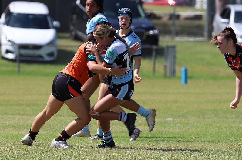 Trial LFC WESTSTIGERS vs SHARKS