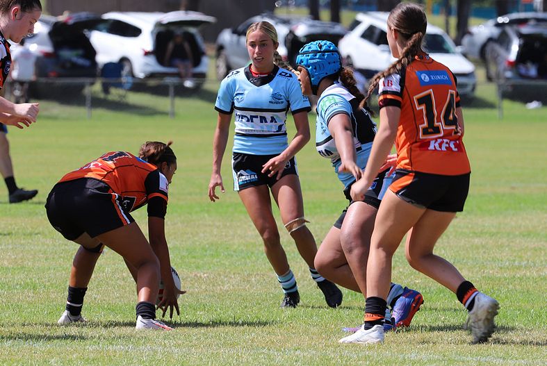 Trial LFC WESTSTIGERS vs SHARKS