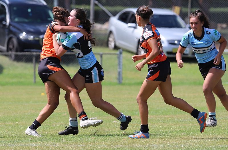 Trial LFC WESTSTIGERS vs SHARKS