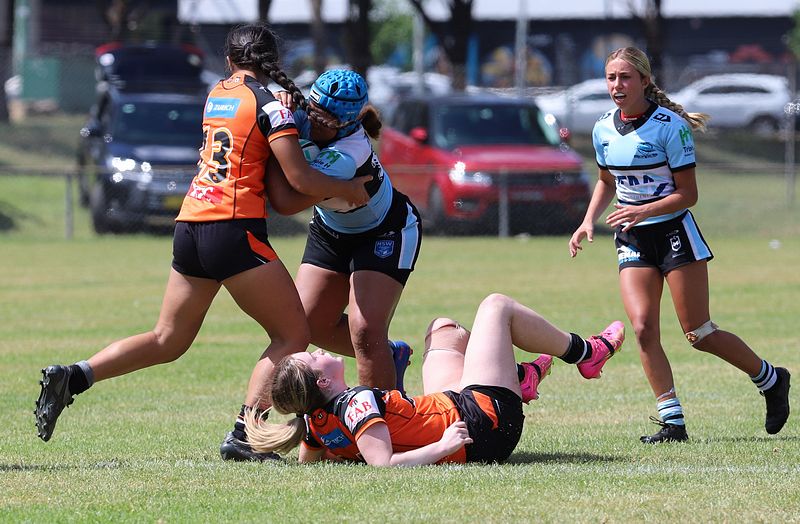 Trial LFC WESTSTIGERS vs SHARKS