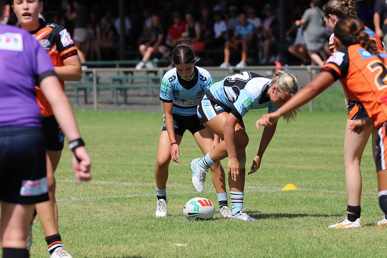 Trial LFC WESTSTIGERS vs SHARKS