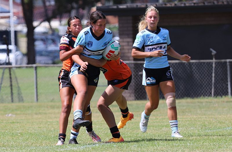 Trial LFC WESTSTIGERS vs SHARKS