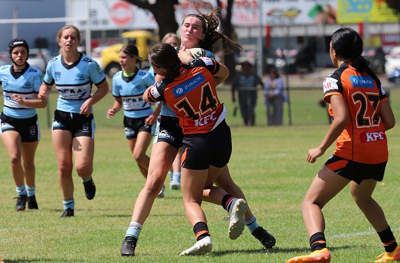 Trial LFC WESTSTIGERS vs SHARKS