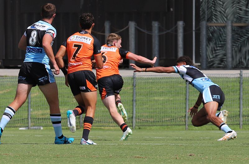 SGB Rnd 1 SHARKS vs TIGERS