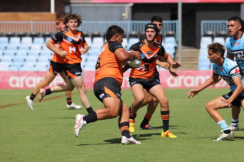 SGB Rnd 1 SHARKS vs TIGERS