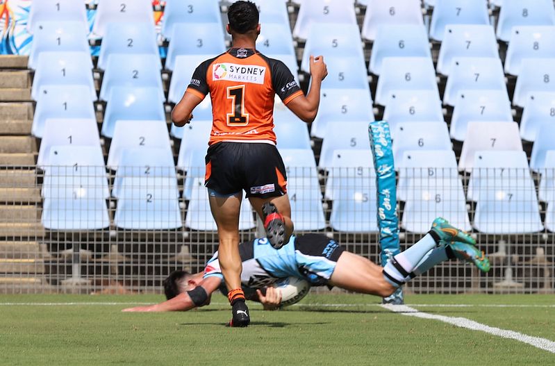SGB Rnd 1 SHARKS vs TIGERS