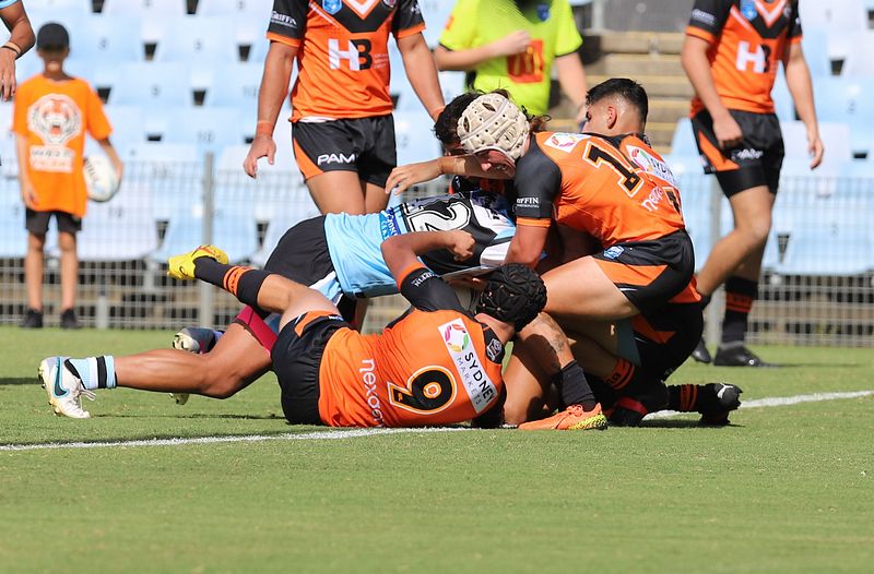 SGB Rnd 1 SHARKS vs TIGERS