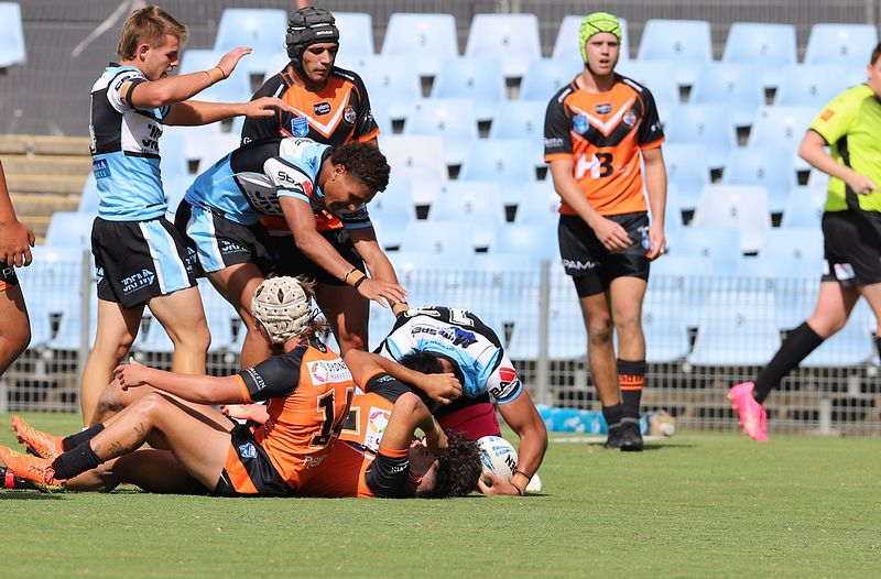 SGB Rnd 1 SHARKS vs TIGERS