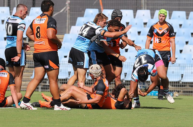 SGB Rnd 1 SHARKS vs TIGERS