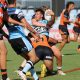 2024 NSWRL SG Ball Cup Round 1 Action Photo's - Cronulla-Sutherland Sharks vs Balmain Tigers at Shark Park (Photo's - Steve Montgomery)