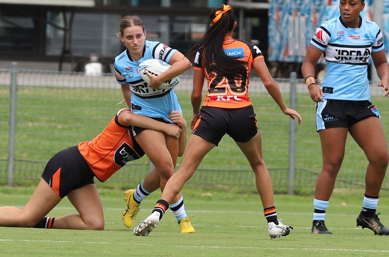 TGC Rnd 1 SHARKS vs WESTSTIGERS