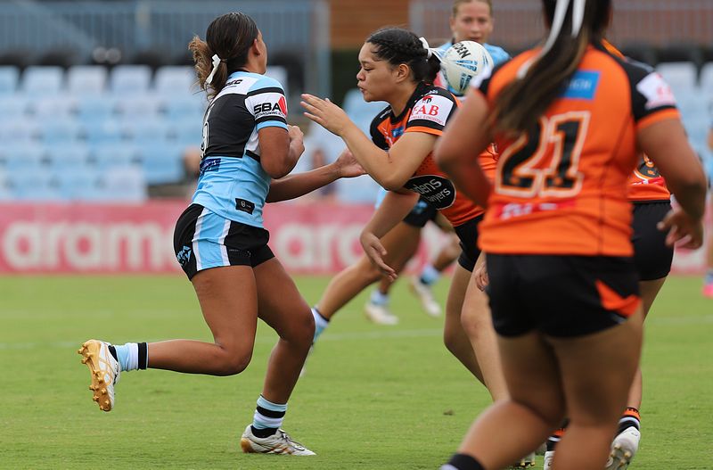 TGC Rnd 1 SHARKS vs WESTSTIGERS