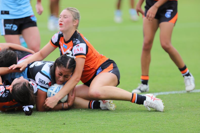 TGC Rnd 1 SHARKS vs WESTSTIGERS