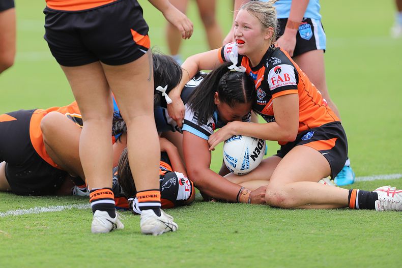 TGC Rnd 1 SHARKS vs WESTSTIGERS