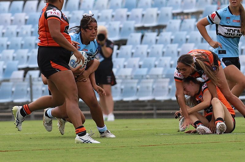 TGC Rnd 1 SHARKS vs WESTSTIGERS