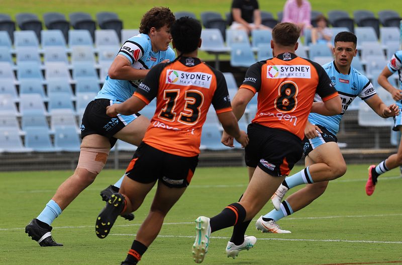 HMC Rnd 1 SHARKS vs TIGERS