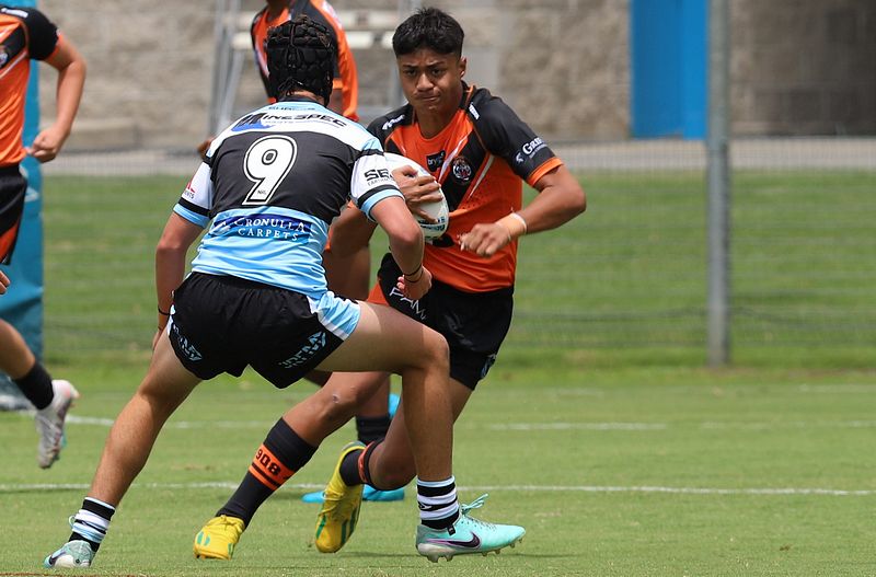 HMC Rnd 1 SHARKS vs TIGERS