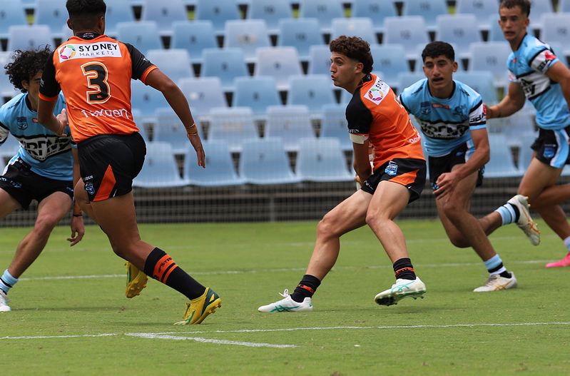 HMC Rnd 1 SHARKS vs TIGERS