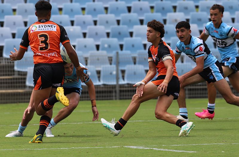 HMC Rnd 1 SHARKS vs TIGERS