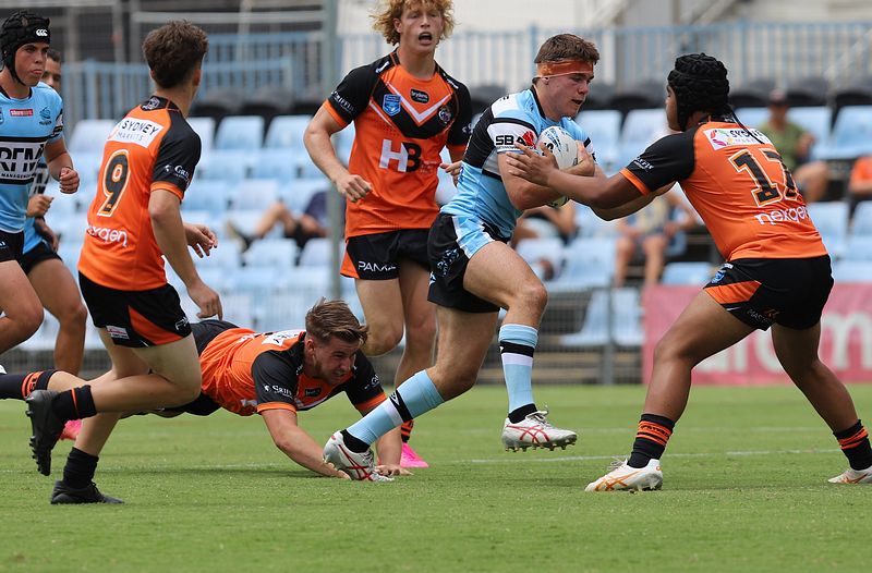 HMC Rnd 1 SHARKS vs TIGERS