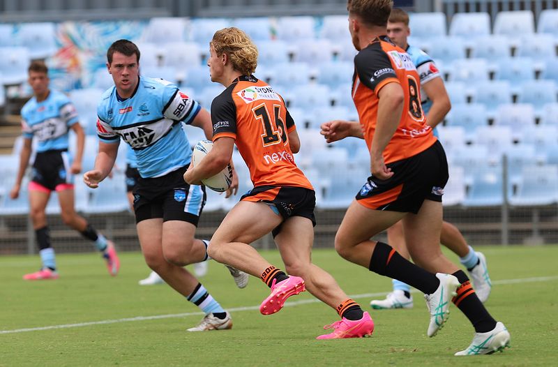 HMC Rnd 1 SHARKS vs TIGERS