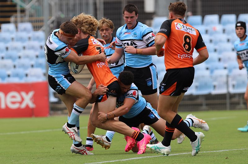 HMC Rnd 1 SHARKS vs TIGERS